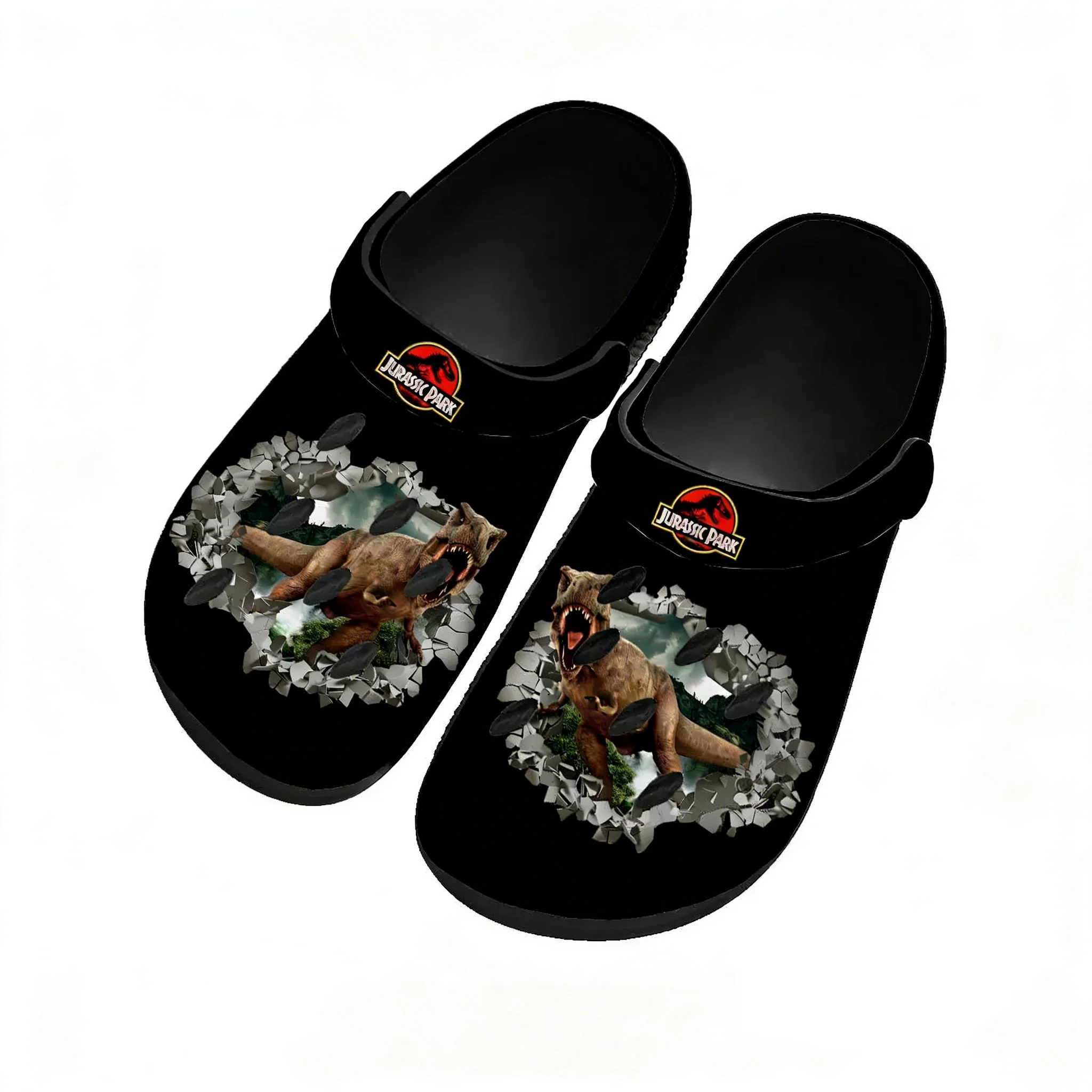 Jurassic Park Water Shoes Men  - Home Bathroom Lights avis et prix