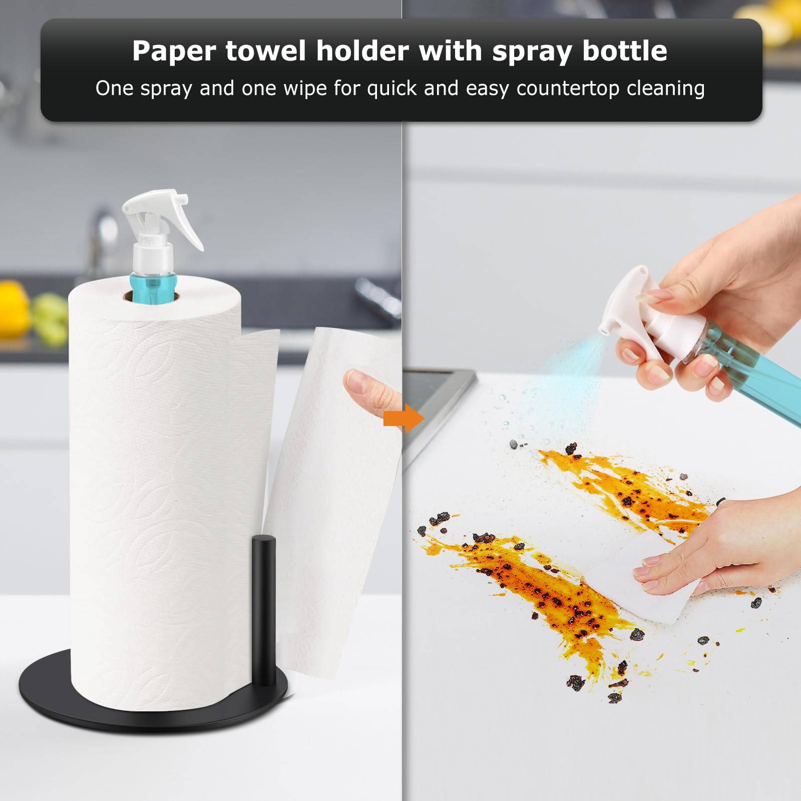 Paper Towel Holder with Spray  - Towel Bar Stainless avis et prix