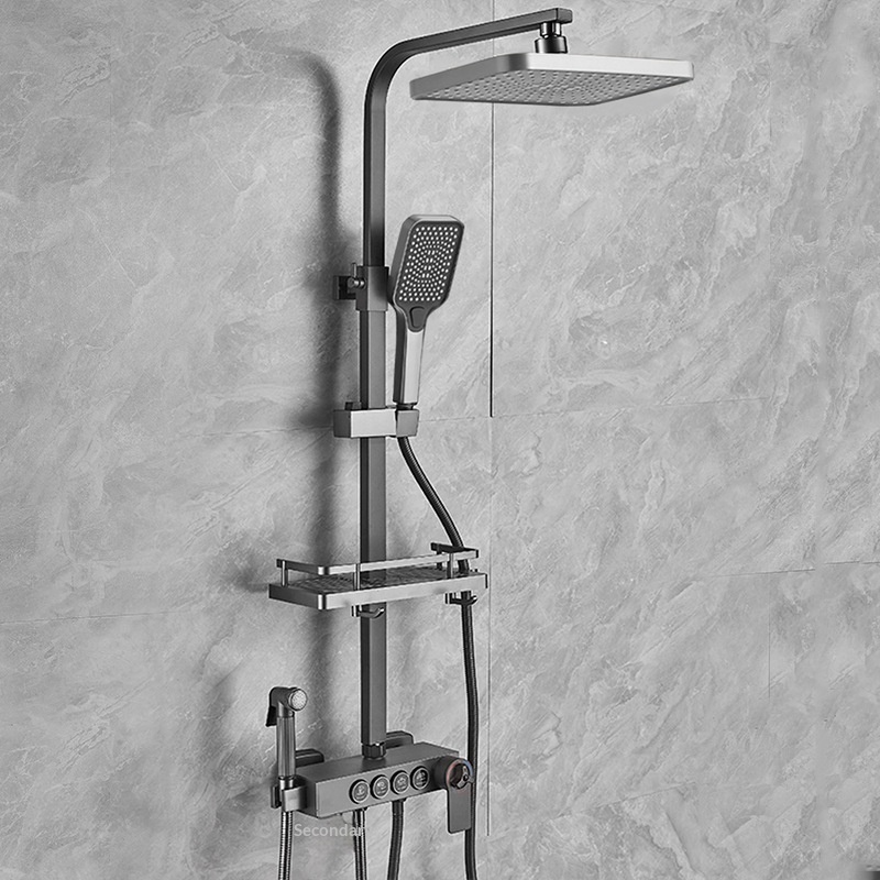 Stainless Steel Shower Set Ant - Home Bath avis et prix