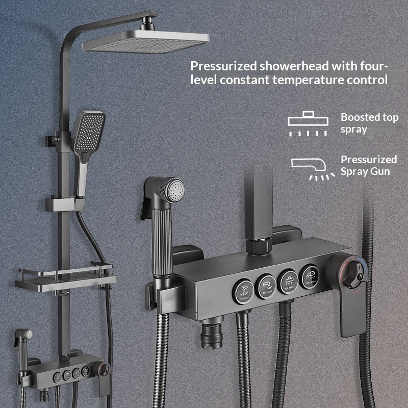 Stainless Steel Shower Set Ant - Home Bath avis et prix