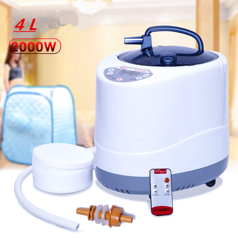 Steam Generator 220V/110V  EU  - Home Bathroom Sauna avis et prix