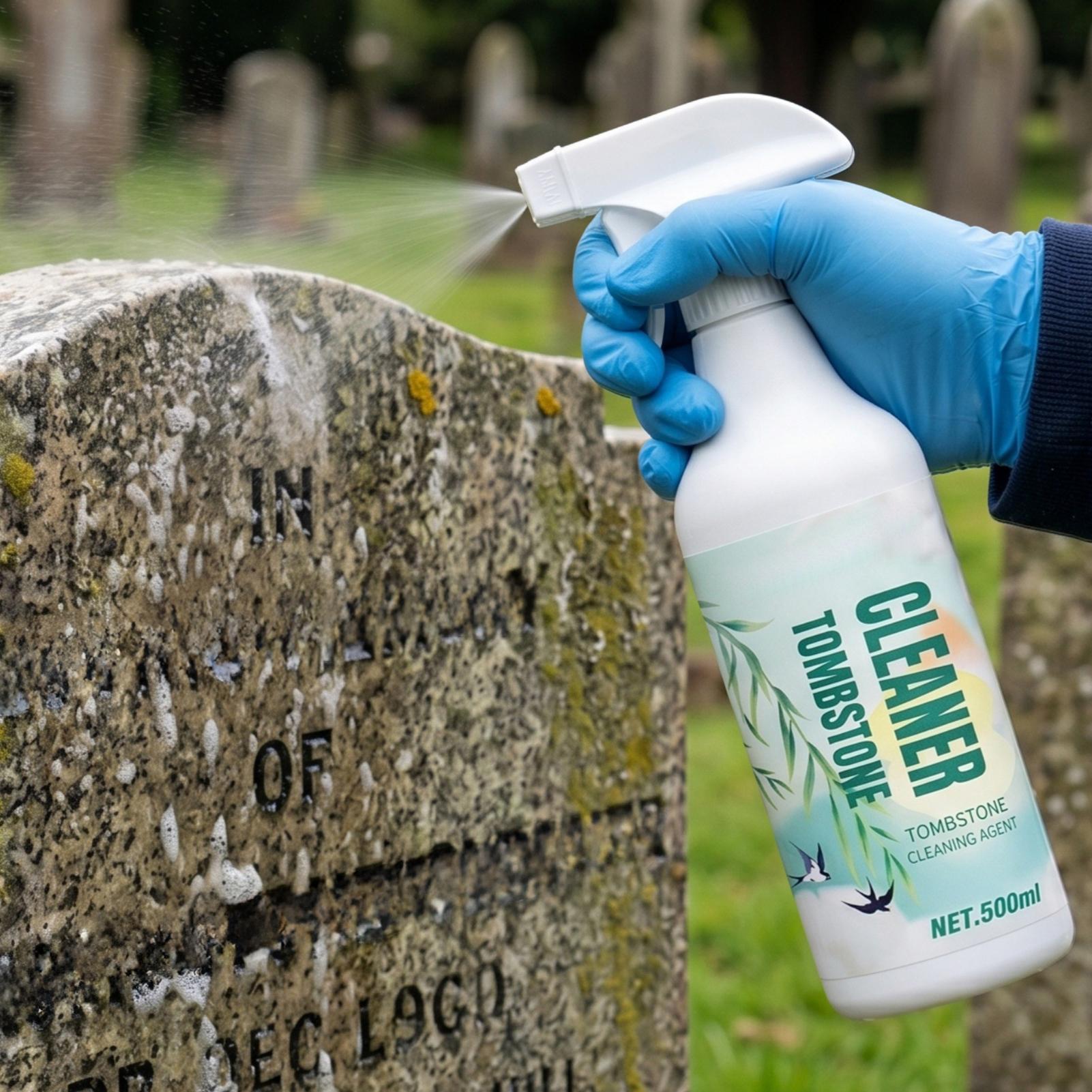 500ml Cleaning Rust Stain Remo - Home Bathroom Cleaning Solution avis et prix