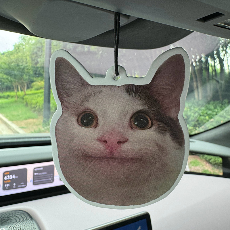 Sad Cat Emoticon Pack Hilton ( - Home Bathroom Freshener avis et prix