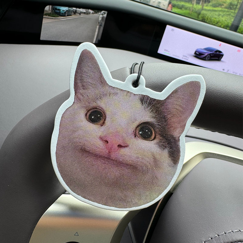 Sad Cat Emoticon Pack Hilton ( - Home Bathroom Freshener avis et prix
